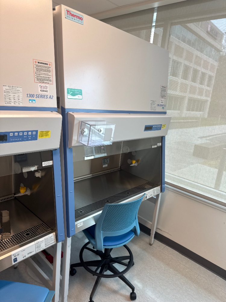 Image of Thermo 1300 Series A2 4' BioSafety Cabinet